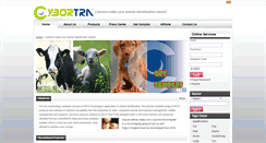 Desktop Screenshot of cybortra.com